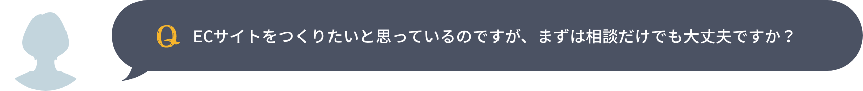 ECサイトをつくりたいと思っているのですが、まずは相談だけでも大丈夫ですか？